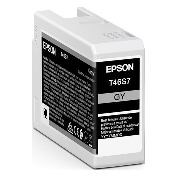 Epson T46S7 grey ink cartridge (original Epson) C13T46S700 083502 - 1