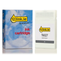 Epson T6027 standard capacity light black ink cartridge (123ink version) C13T602700C 026031