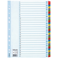 Carboard tabs 1-31 (31 coloured tabs) | A4, 11-hole | Esselte 203840