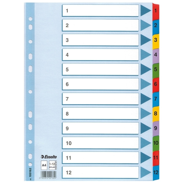 Cardboard tabs 1-12 (12 coloured tabs) | A4, 11-hole | Esselte 203836 - 1