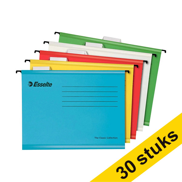 Esselte Classic reinforced hanging file - for A4, assorted (30-pack)  203164 - 1