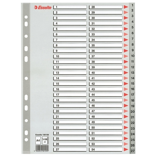 Plastic tabs 1-54 (54 grey tabs) | A4, 11-hole | Esselte 203820 - 1