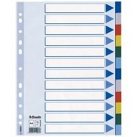 Plastic tabs (12 coloured tabs) | A4, 11-hole | Esselte 203804