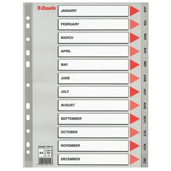 Plastic tabs Jan-Dec (12 grey tabs) | A4, 11-hole | Esselte 203824 - 1