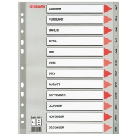 Plastic tabs Jan-Dec (12 grey tabs) | A4, 11-hole | Esselte 203824
