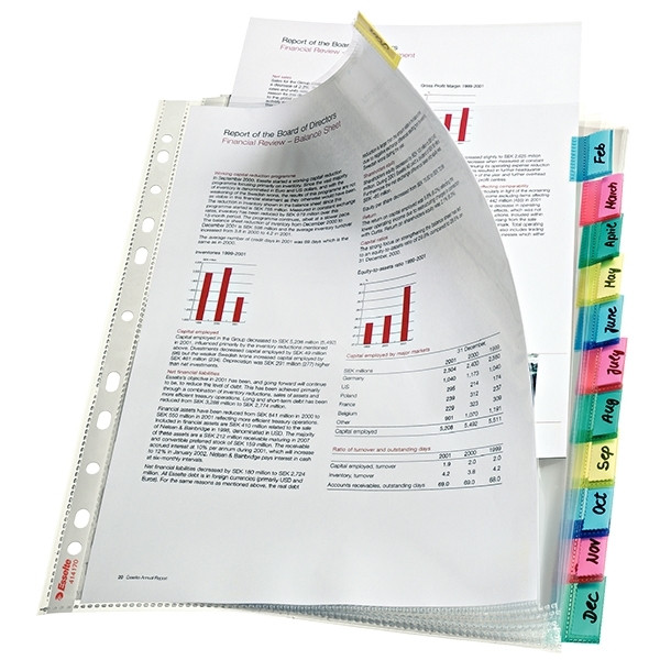 Punched pocket (A4, 11-hole) with 12 tabs | 130µ | Esselte 414170 203229 - 1