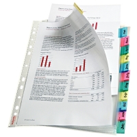 Punched pocket (A4, 11-hole) with 12 tabs | 130µ | Esselte 414170 203229