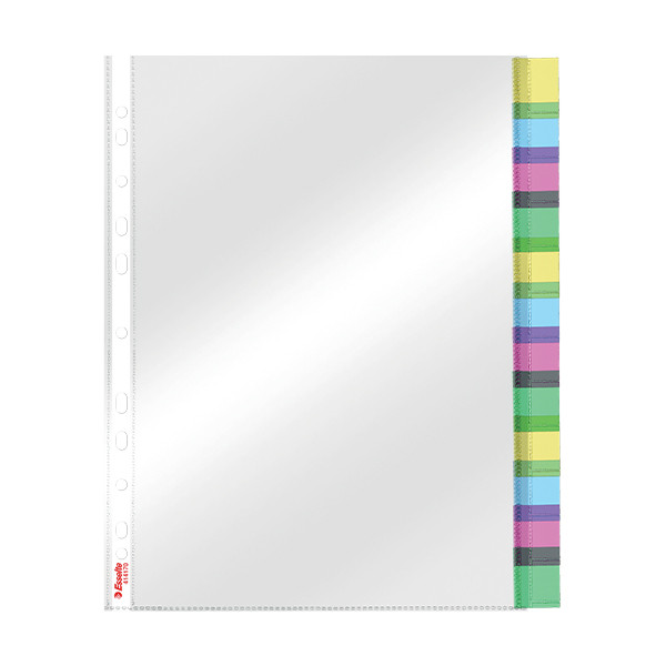 Punched pocket (A4, 11-hole) with 12 tabs | 130µ | Esselte 414170 203229 - 2