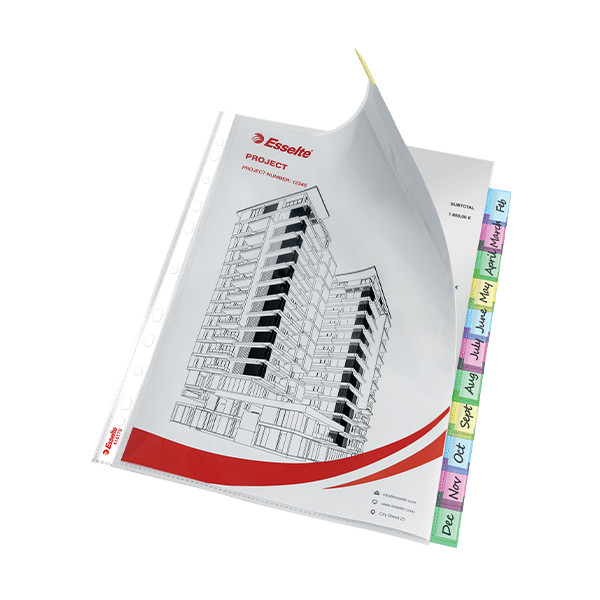 Punched pocket (A4, 11-hole) with 12 tabs | 130µ | Esselte 414170 203229 - 4