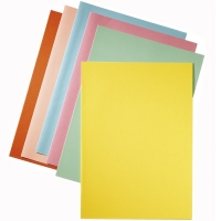 Esselte assorted A4 colour paper inserts (50-pack) 2103450 203592