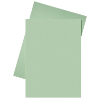 Esselte green A4 paper insert folder (250-pack) 2103408 203586