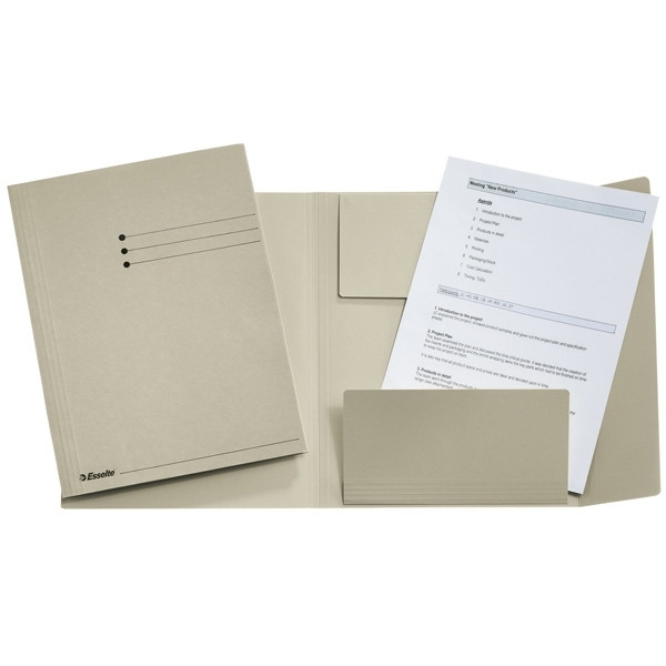 Esselte grey 3-flap folder with line printing (50-pack) 1032307 203746 - 1