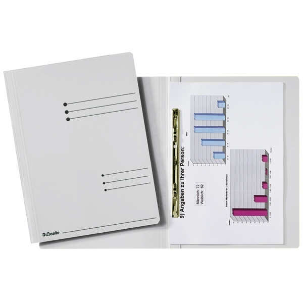 Esselte grey A4 folder with sliding cover frame (50-pack) 1033207 203680 - 1