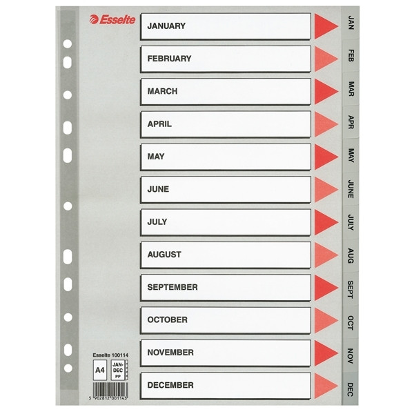 Esselte grey A4 plastic tabs with 12 month indexes (11 holes) 100114 203824 - 1