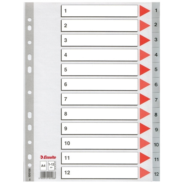 Esselte grey A4 plastic tabs with indexes 1-12 (11 holes) 100106 203814 - 1