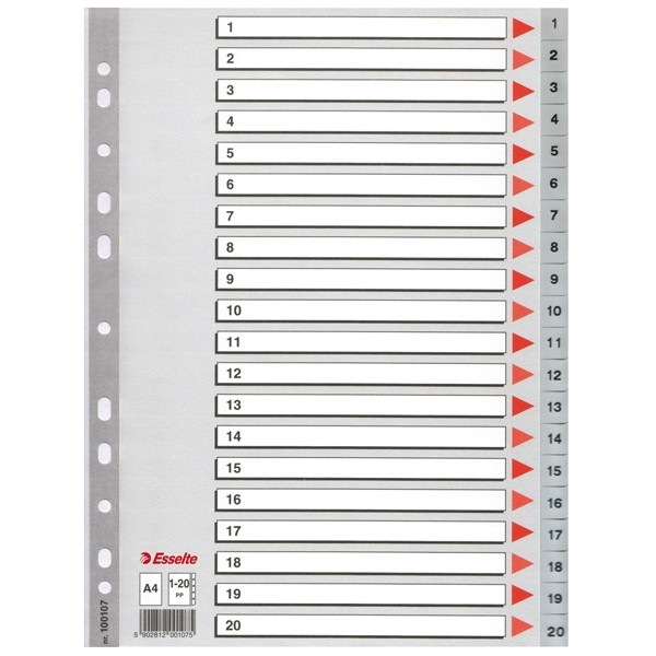 Esselte grey A4 plastic tabs with indexes 1-20 (11 holes) 100107 203816 - 1