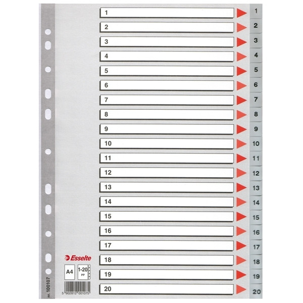 Esselte grey A4 plastic tabs with indexes 1-20 (11 holes) 100107 203816 - 1