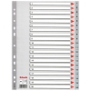 Esselte grey A4 plastic tabs with indexes 1-20 (11 holes)