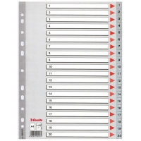 Esselte grey A4 plastic tabs with indexes 1-20 (11 holes) 100107 203816