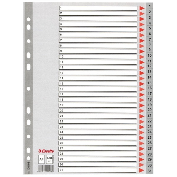 Esselte grey A4 plastic tabs with indexes 1-31 (11 holes) 100108 203818 - 1