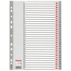 Esselte grey A4 plastic tabs with indexes 1-31 (11 holes)