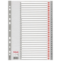 Esselte grey A4 plastic tabs with indexes 1-31 (11 holes) 100108 203818