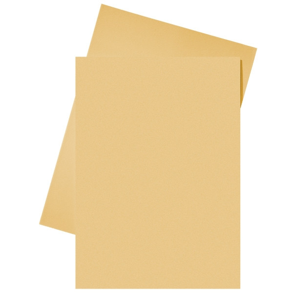 Esselte orange A4 paper insert folder (250-pack) 203590 - 1