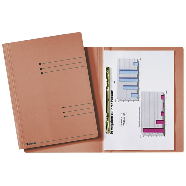 Esselte red A4 folder with sliding cover frame (50-pack) 203686 - 1