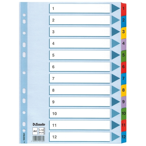 Esselte white/coloured A4 cardboard tabs with indexes 1-12 (11 holes) 100162 203836 - 1