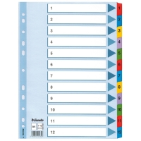Esselte white/coloured A4 cardboard tabs with indexes 1-12 (11 holes) 100162 203836