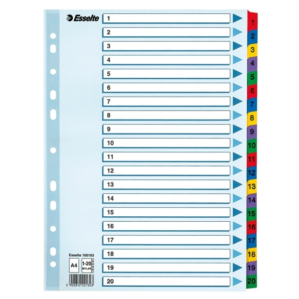 Esselte white/coloured A4 cardboard tabs with indexes 1-20 (11 holes) 100163 203838 - 1