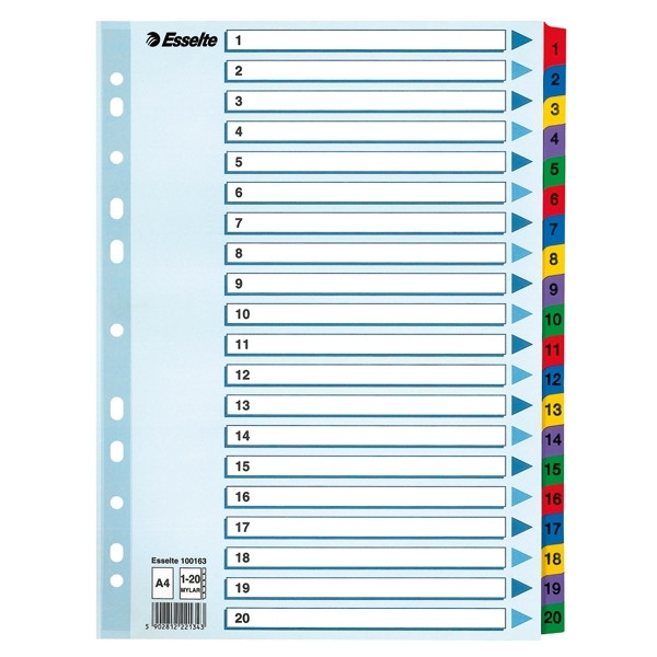 Esselte white/coloured A4 cardboard tabs with indexes 1-20 (11 holes) 100163 203838 - 1