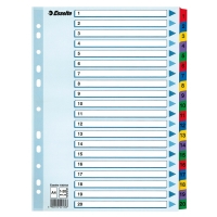 Esselte white/coloured A4 cardboard tabs with indexes 1-20 (11 holes) 100163 203838