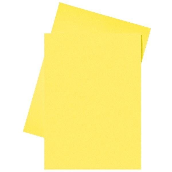 Esselte yellow paper insert folder A4 (250-pack) 2103406 203584 - 1