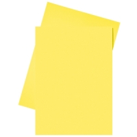 Esselte yellow paper insert folder A4 (250-pack) 2103406 203584