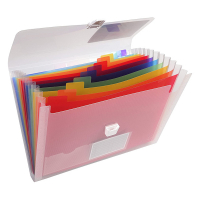 Exacompta transparent project folder (13 compartments) 55298E 404013