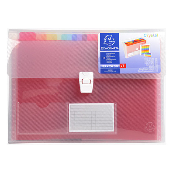 Exacompta transparent project folder (13 compartments) 55298E 404013 - 2