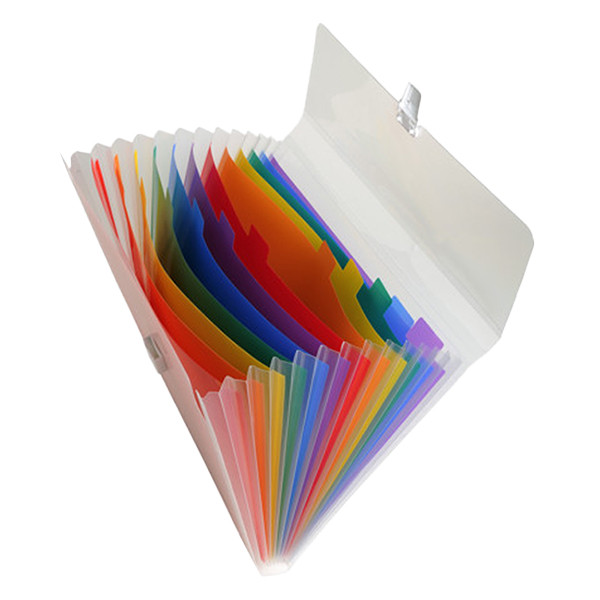 Exacompta transparent project folder (13 compartments) 55298E 404013 - 5