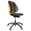 Back support | Fellowes Office Suites