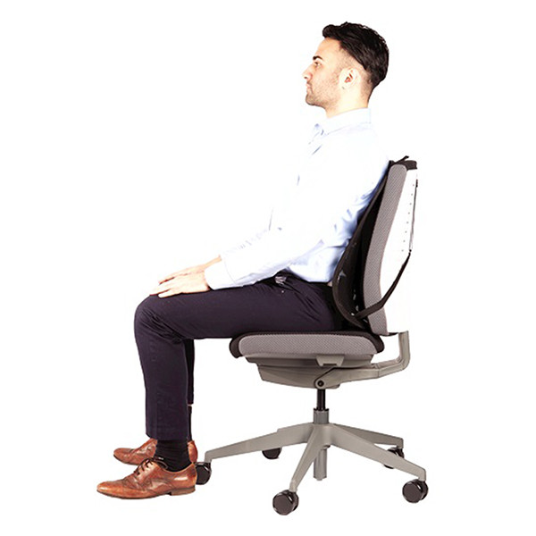 Back support | Fellowes Office Suites 213067 - 7