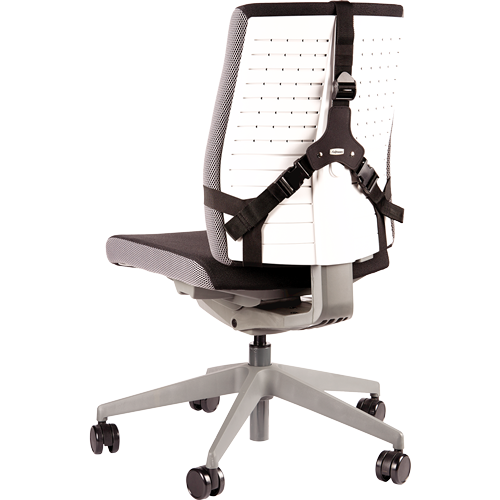 Back support | Fellowes Pro Series 213066 - 3