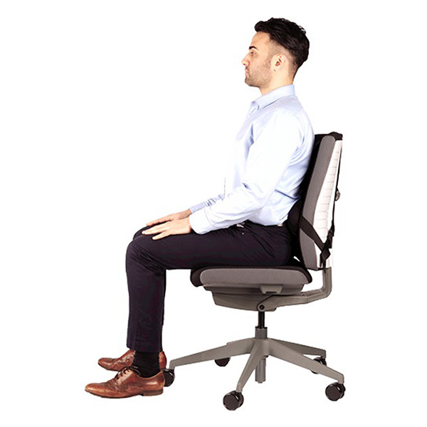Back support | Fellowes Pro Series 213066 - 9