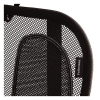 Fellowes Office Suites mesh back support 9191301 213067 - 6