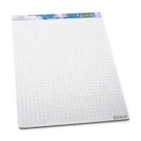 Flipchart blank/squared 65 x 100cm | 2 x 50 sheets | 123ink