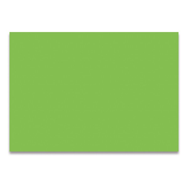 Folia green photo cardboard, 50cm x 70cm (25-pack) FO-612551 222040 - 1