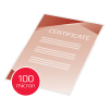 A4 laminating pouch (self-adhesive) 100 micron | glossy | GBC | 100-pack 207046 - 3