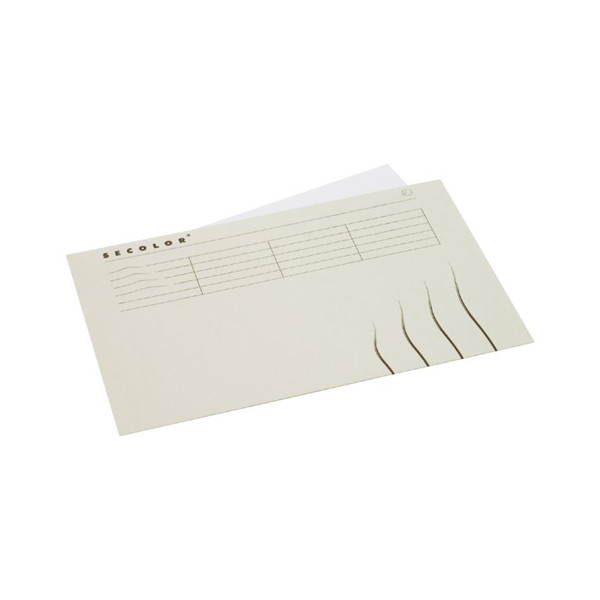 Jalema Secolor grey folio landscape inlay folder with line print (25-pack) 3163507 234675 - 1