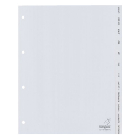 Plastic tabs Jan-Dec (12 grey tabs) | A4, 4-hole | Kangaro 206791