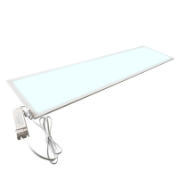 LED panel | 30cm x 120cm | UGR19 | 6000K | 4000 lumens | 40W LDR03273