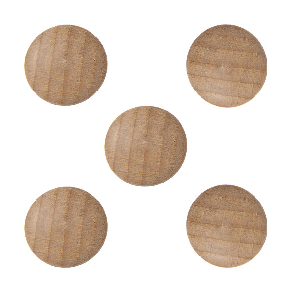 Legamaster Wooden magnets (5-pack) 7-181725 262083 - 1